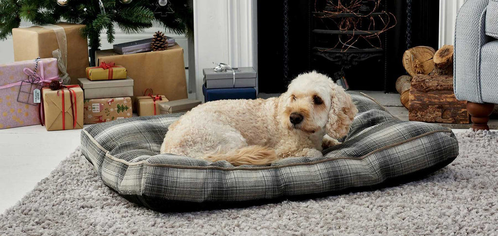Dog beds - Chic Pets