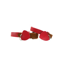 Contrast Leather Collar - Chic Pets
