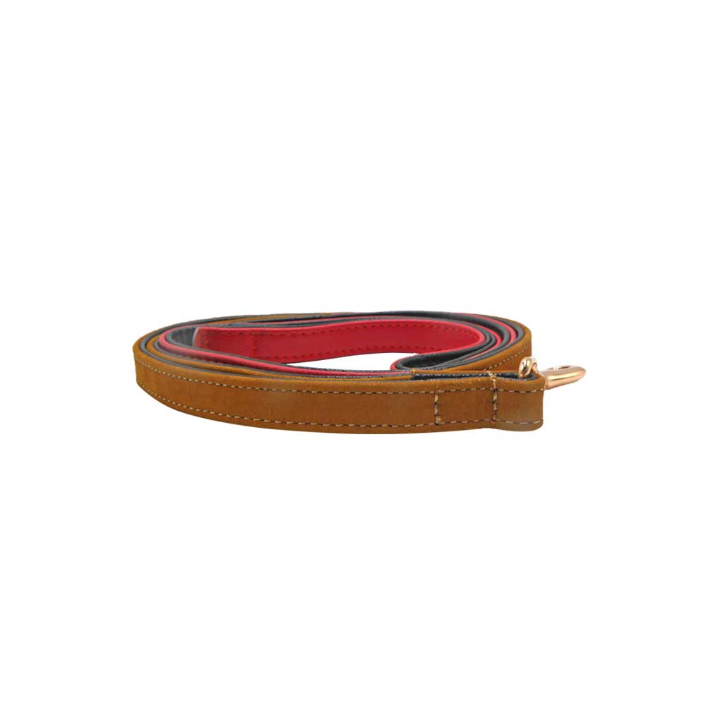 Contrast Leather Leash for Dog - Chic Pets